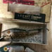 Fishing lures