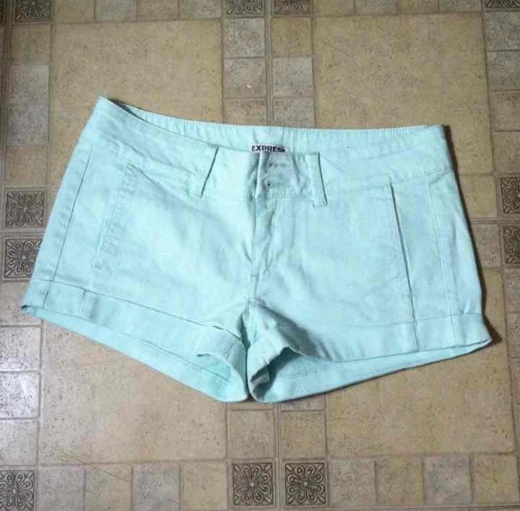 Express New Bundle Shorts