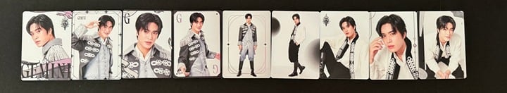 Gemini Fourth Run the World Concert Collectible PCs: 9