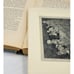 Childrens Blue Bird By Georgette LeBlanc First Edition Antique Antiquarian 1913