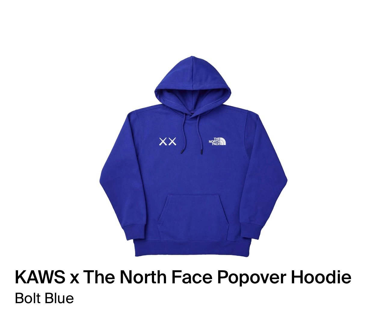 North Face x Kaws Hoodie