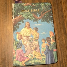 The rainbow bible #603 king james version Hard Cover Illustrated