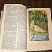 The rainbow bible #603 king james version Hard Cover Illustrated