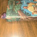 The rainbow bible #603 king james version Hard Cover Illustrated