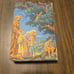 The rainbow bible #603 king james version Hard Cover Illustrated