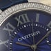 Cartier nose rings