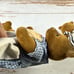 Calico critters/sylvanian families Vintage Timber top Bear Family Of 5