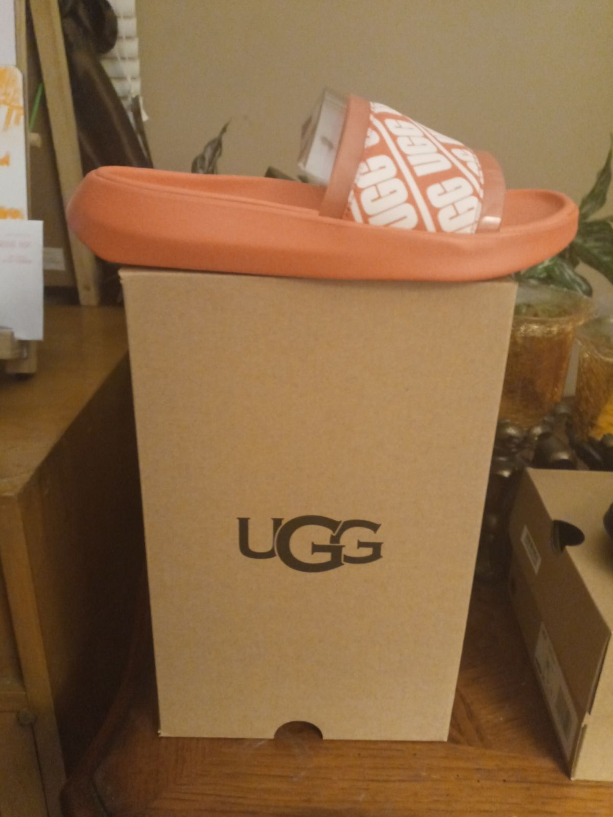 ugg slippers