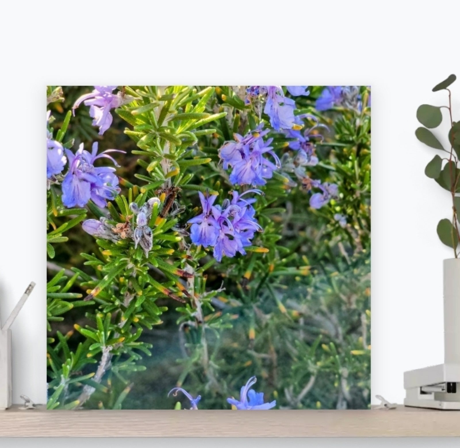 Canvas Wall Art, No.3