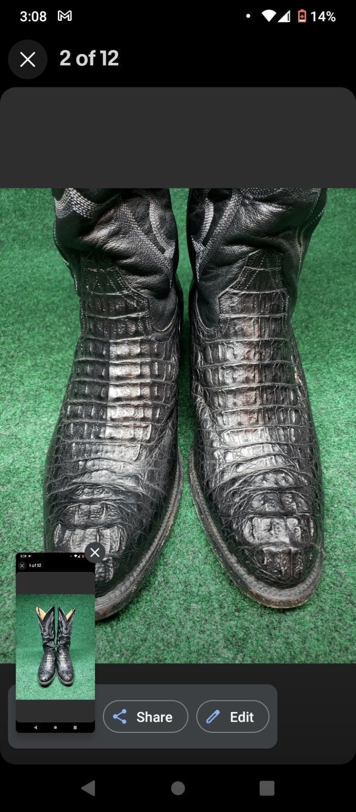 Pre owned size 10 Genuine Cayman Fuscus Skin gators