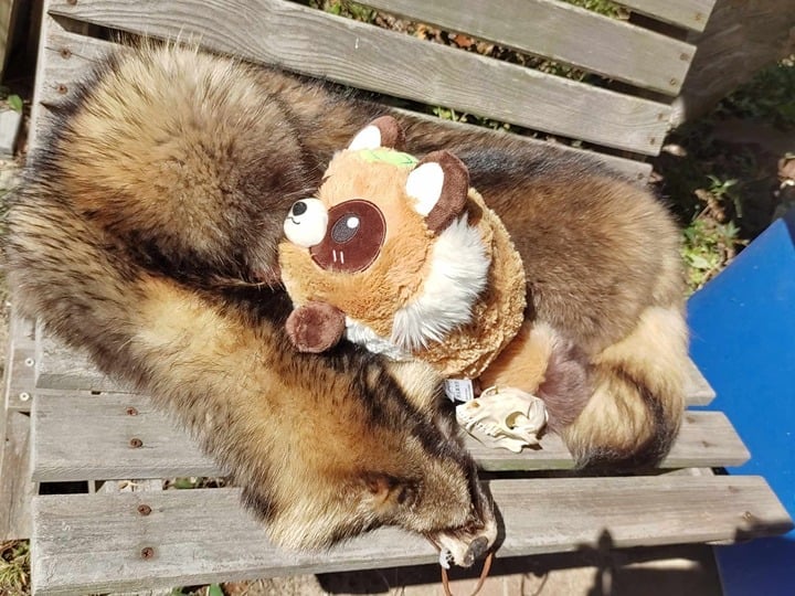 Tanuki / Raccoon Dog Bundle