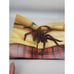 The Pop-Up Book Of Phobias By Gary Greenberg - Hardcover - FIRST EDITION