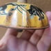 Kirchhoff Halloween Bell Noise Maker Witch Cat Vat Devil Jack O Lantern c1930s