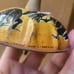 Kirchhoff Halloween Bell Noise Maker Witch Cat Vat Devil Jack O Lantern c1930s