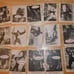 1965 King Kong trading card lot - 43 cards from set of 55 - nonsports - horror -