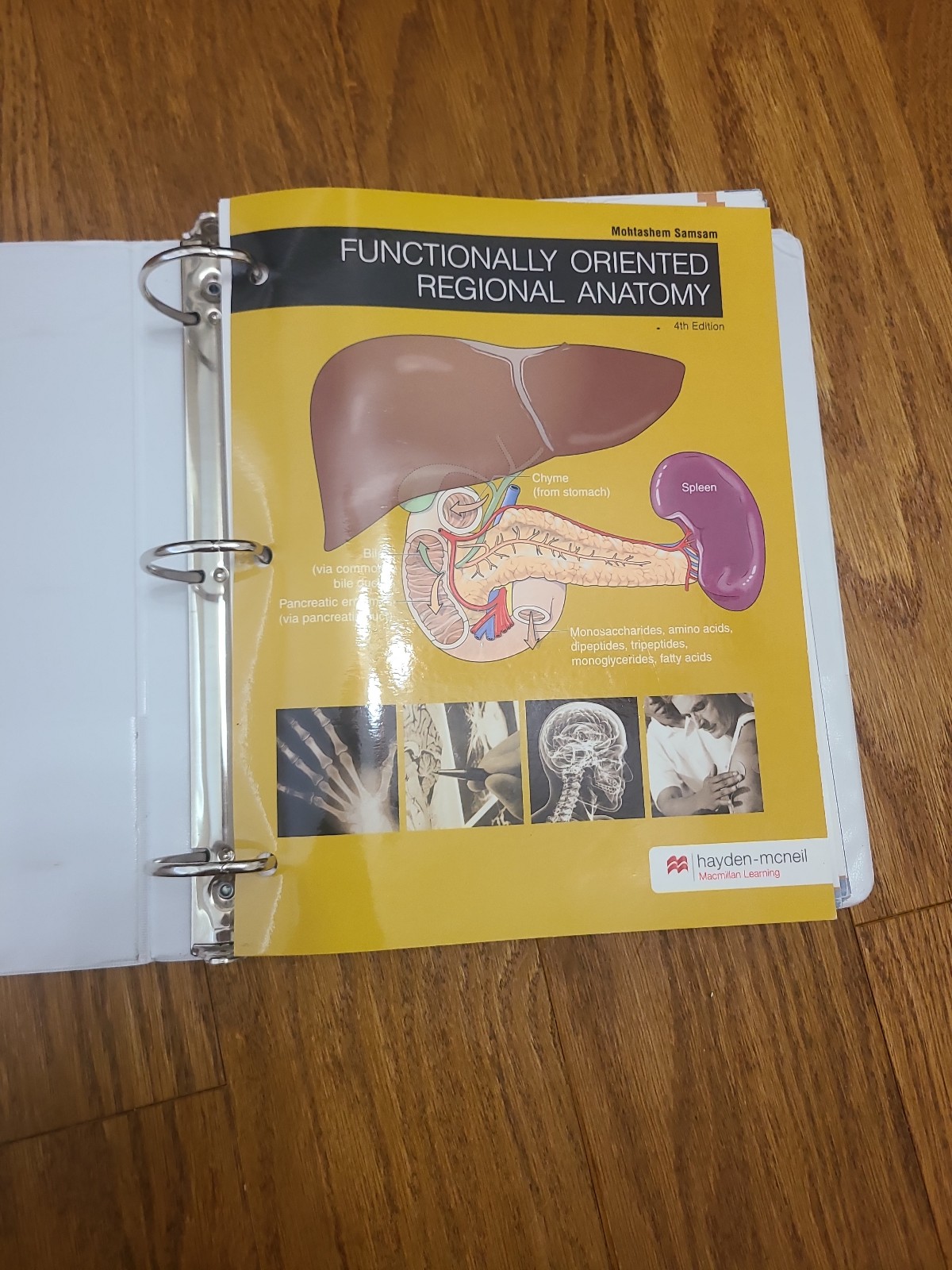 Functionally Oriented Regional Anatomy isbn9780738092693