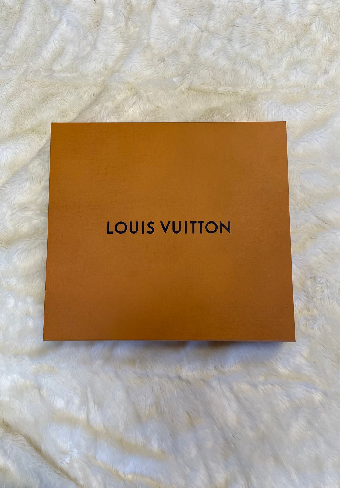 Louis Vuitton Box