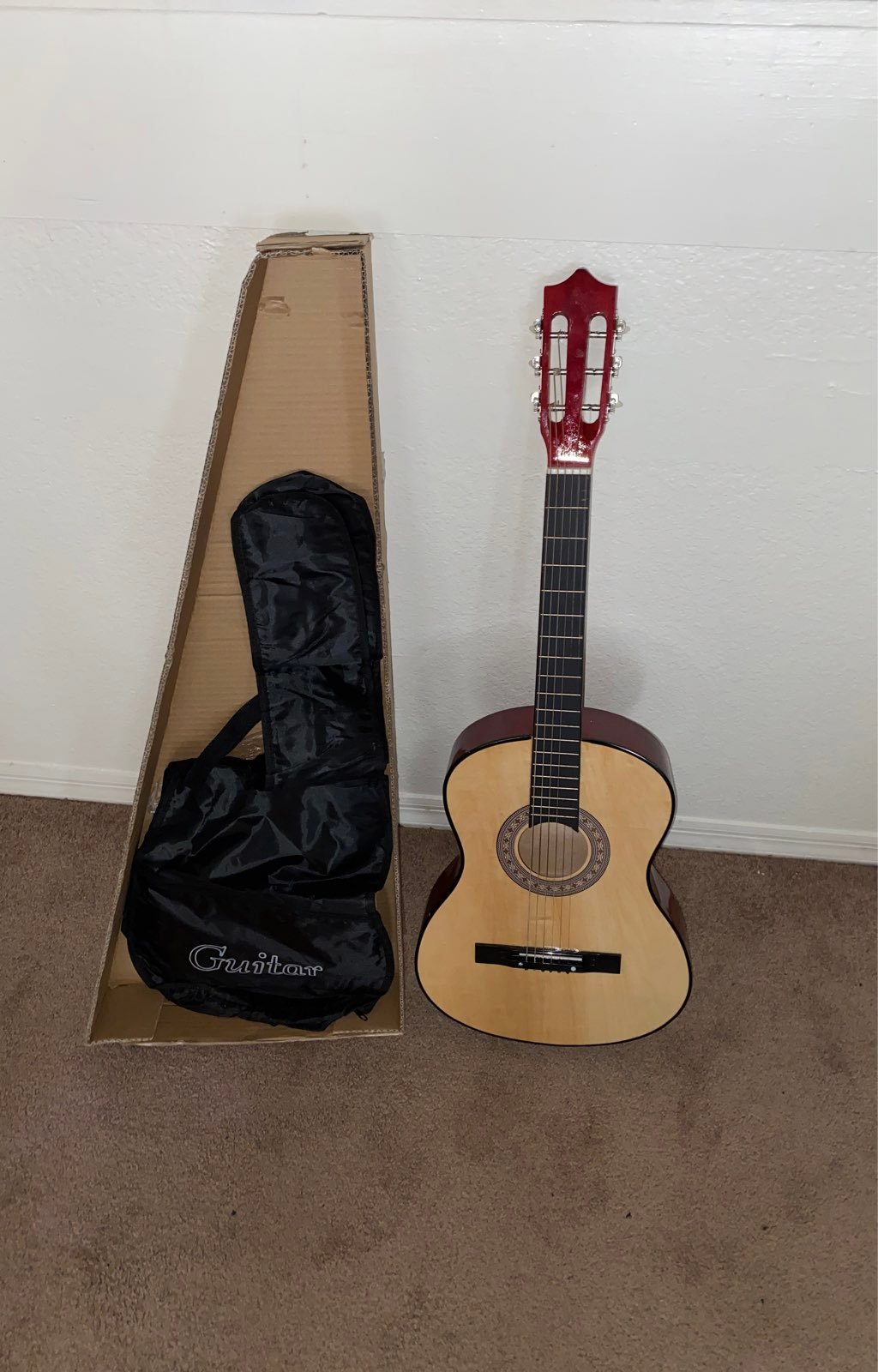 acoustic guitar with cover