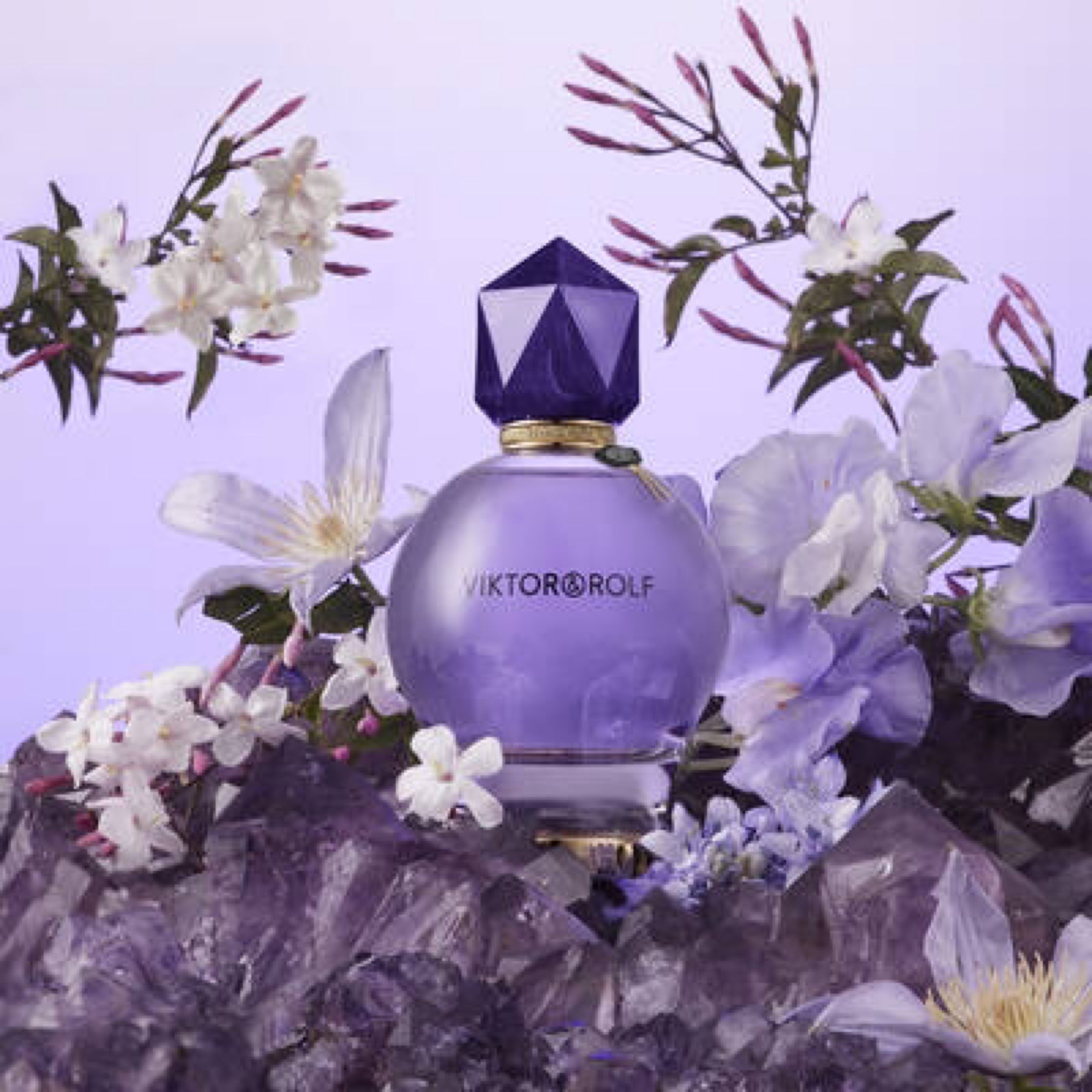 Viktor and Rolf perfume