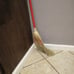 Broom