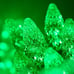 70 C6 Green LED String Lights Indoor-Outdoor Christmas String Lights, 24 Ft