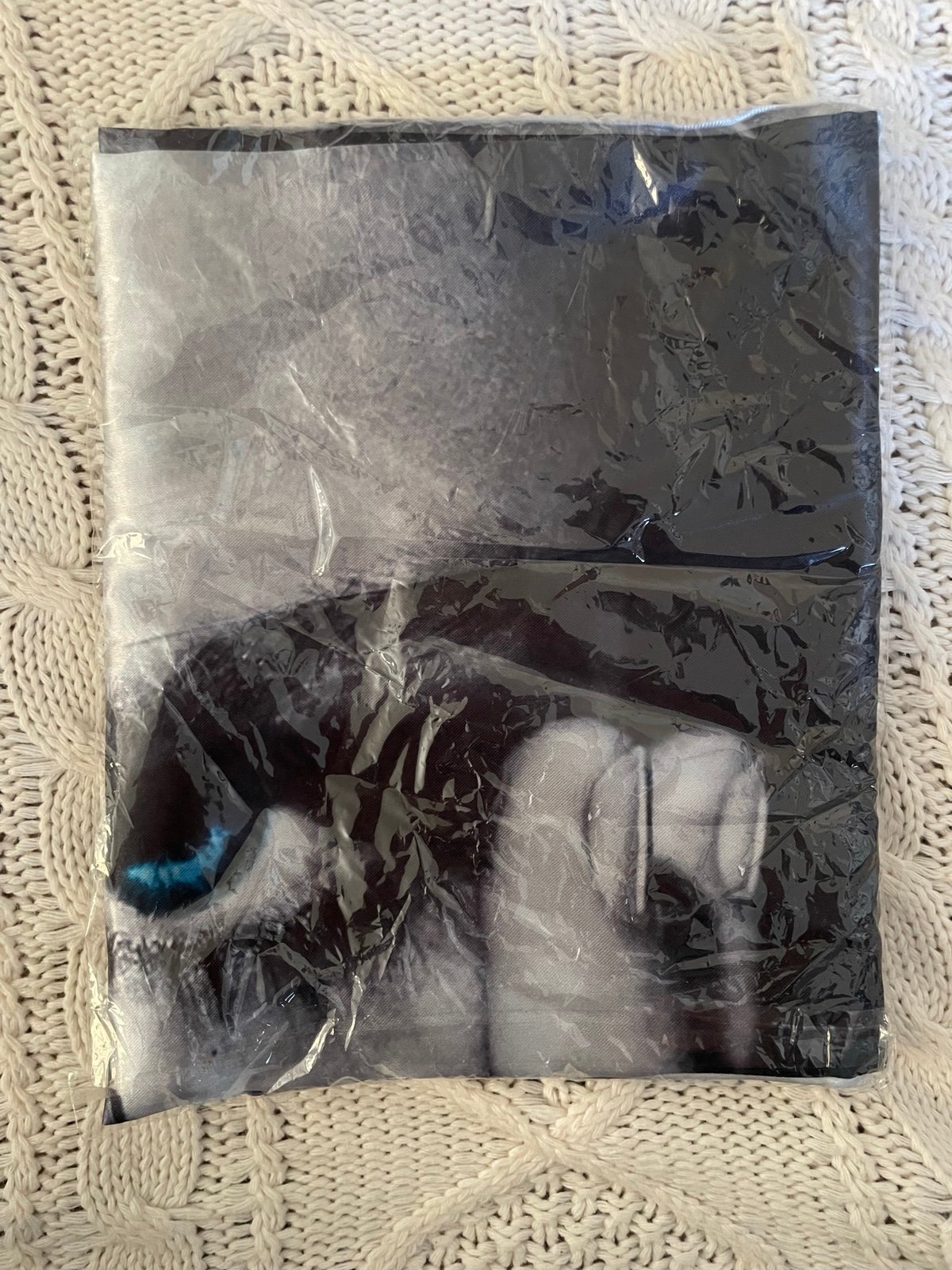 RARE: Taylor Swift Reputation Stadium Tour Flag