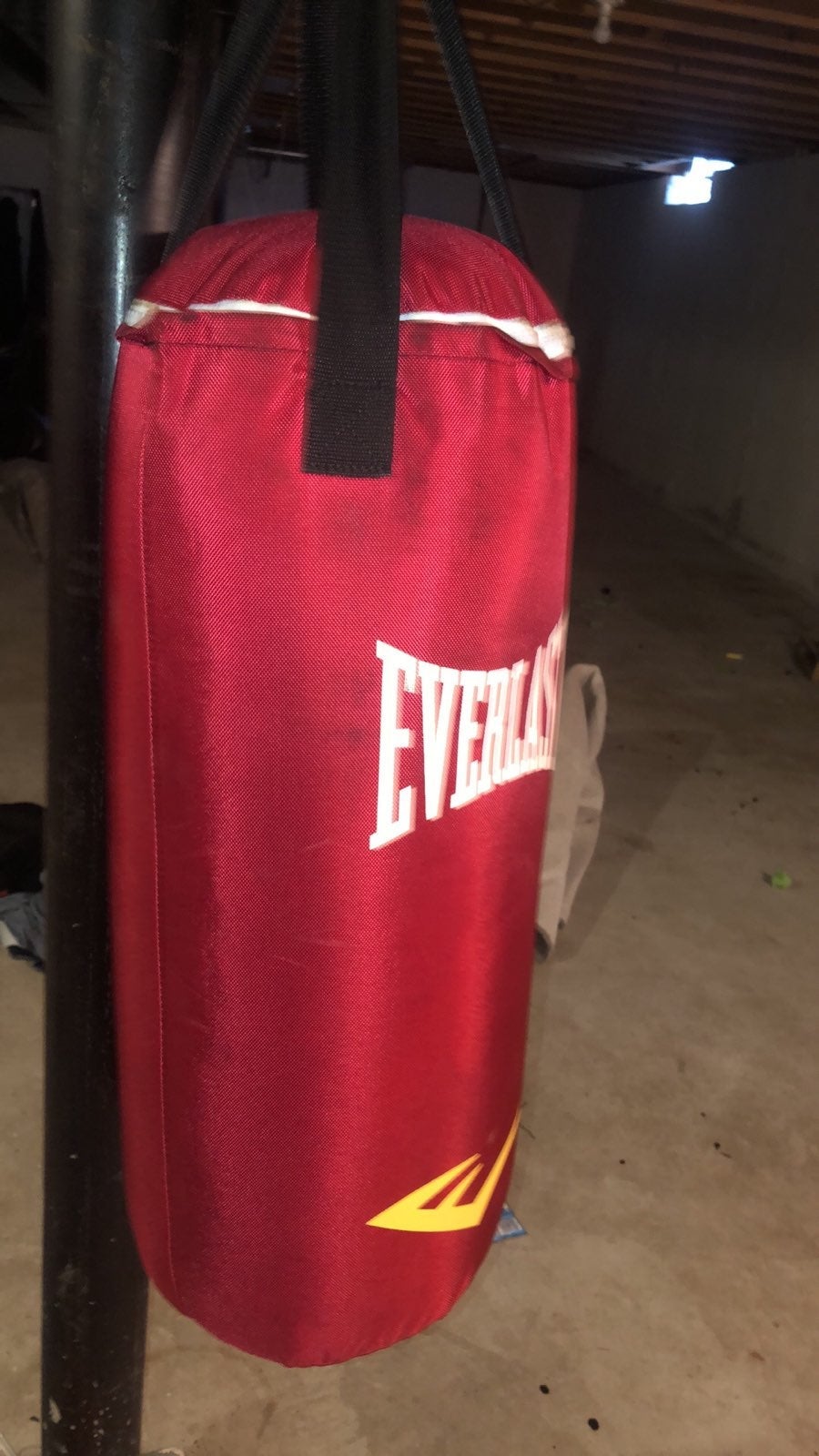 Everlast punching bag