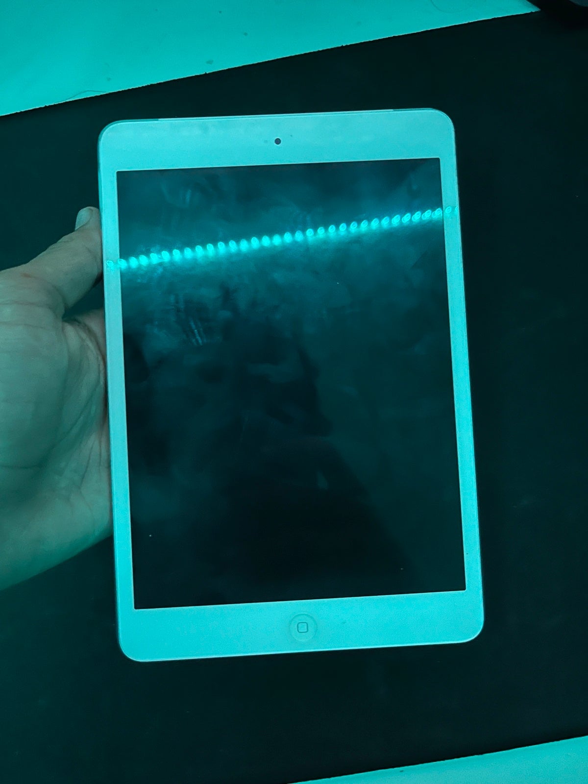 iPad mini
