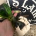 spooky hands water globe