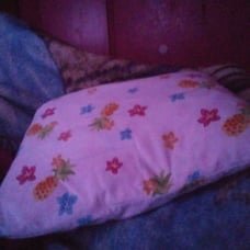 Pillow