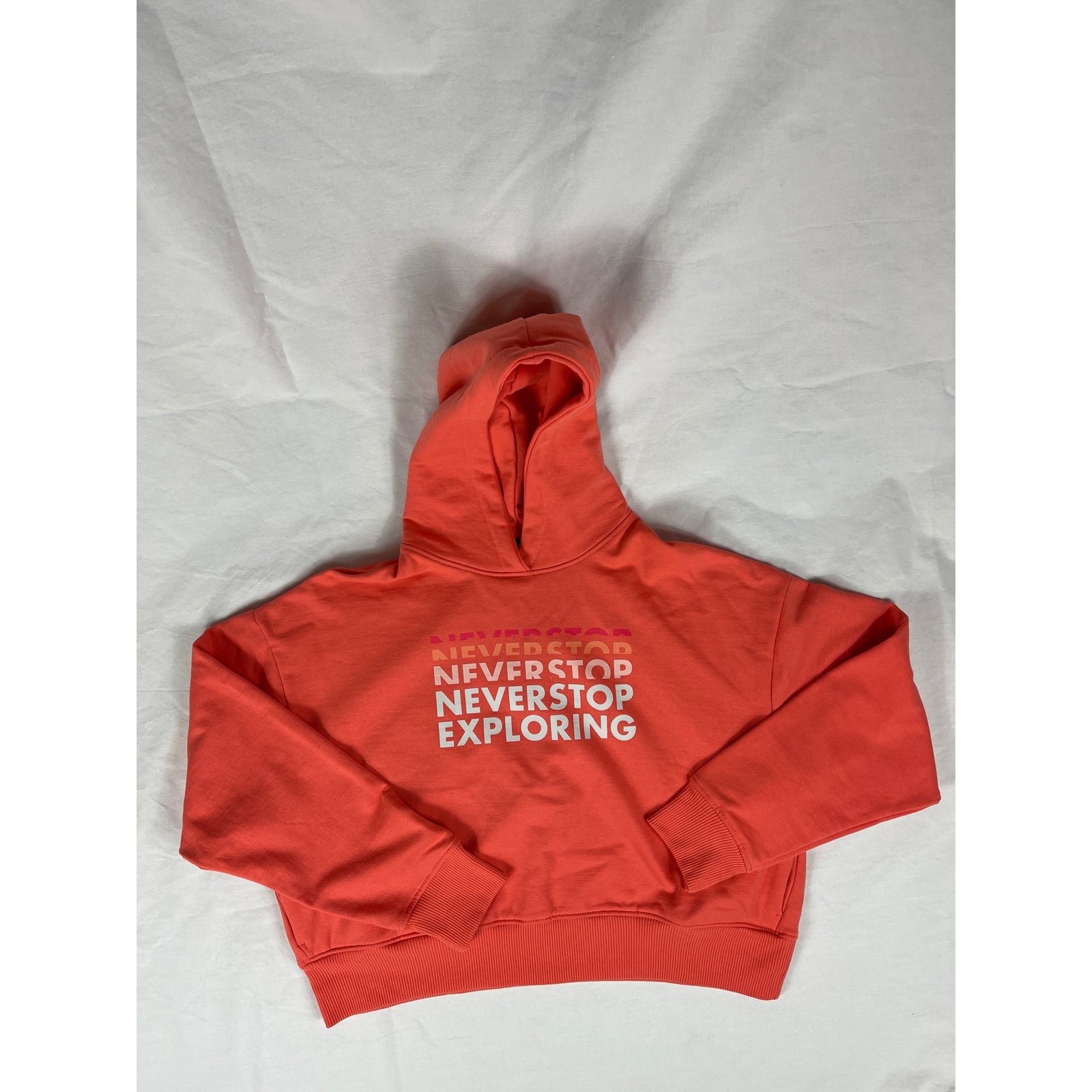 North face hoodie sweater