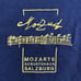 80s Mozart Geburtshaus Salzburg tshirt 1980s vintage