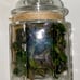 Grim Sweetness Apothecary Potions-Fire Protection-Boomslang Skin-