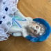 Pin cushion doll new handmade skirt (with pillow), vintage doll, all together 7x
