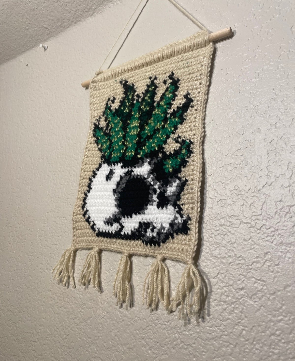 haworthia houseplant skull crochet tapestry / halloween house plant wall-hanging