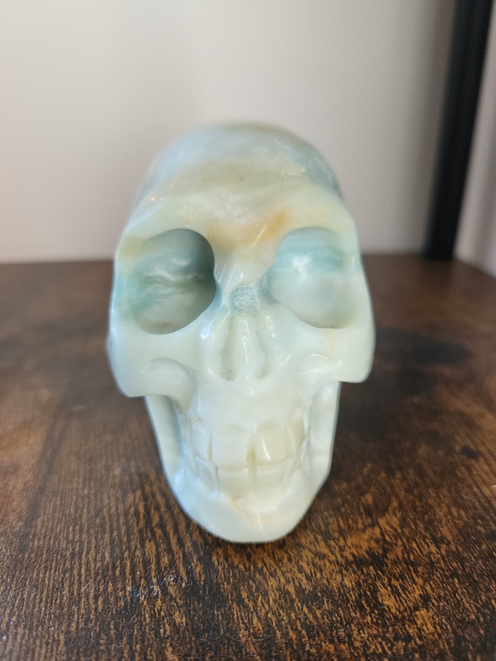 Caribbean Calcite Skull