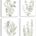 FRAMED Botanical Plant Canvas Wall Art,Boho Plant Wall Decor Set of 4,8”x 10”