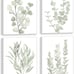 FRAMED Botanical Plant Canvas Wall Art,Boho Plant Wall Decor Set of 4,8”x 10”
