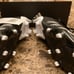 PREDATOR FREAK.3 FIRM GROUND SOCCER CLEATS