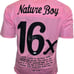 Ric Flair Signed Custom Pink Stats Jersey JSA