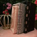 Juicy couture home storage 3pc nesting bins