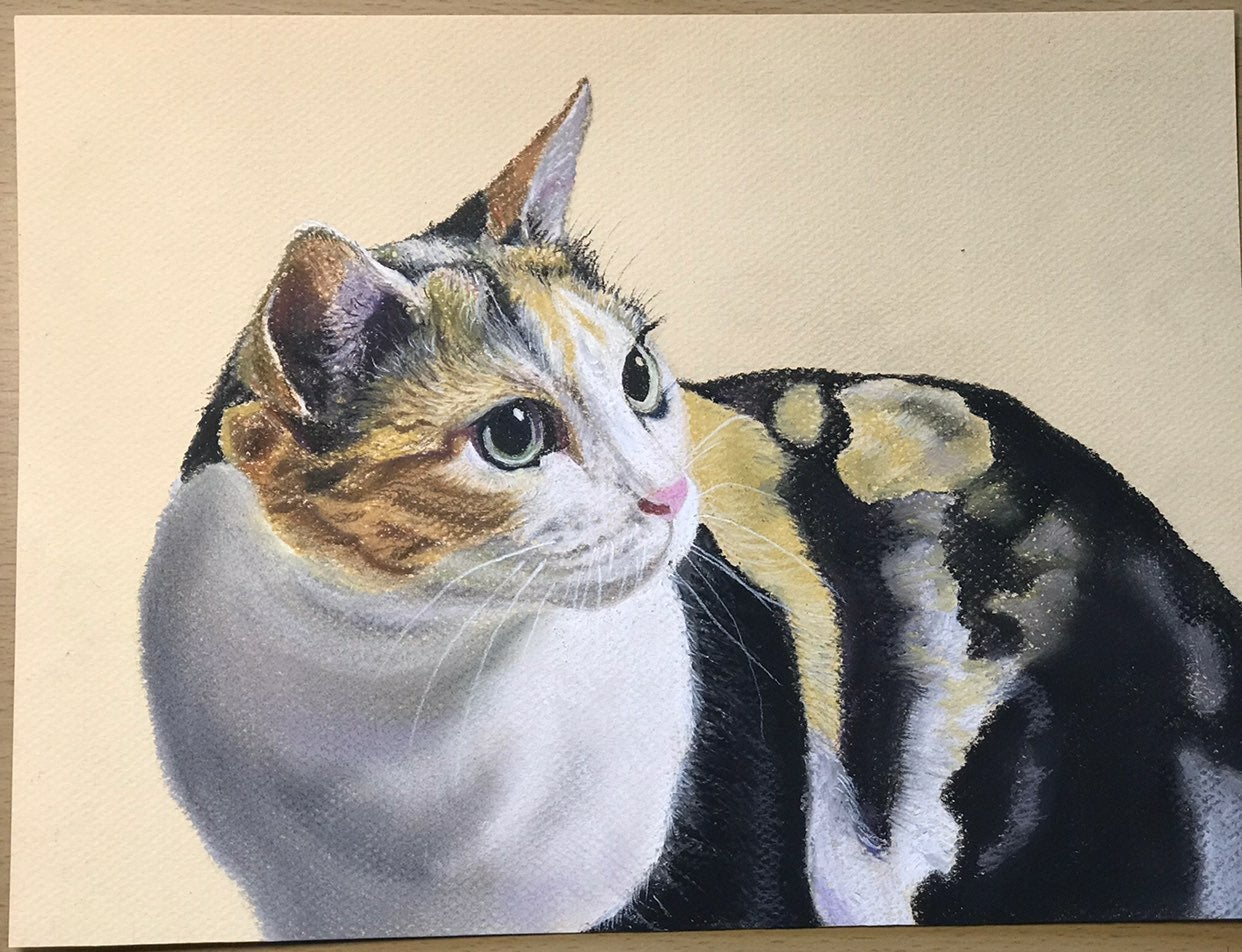 Original pastel drawing of cat