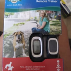 dog training collar