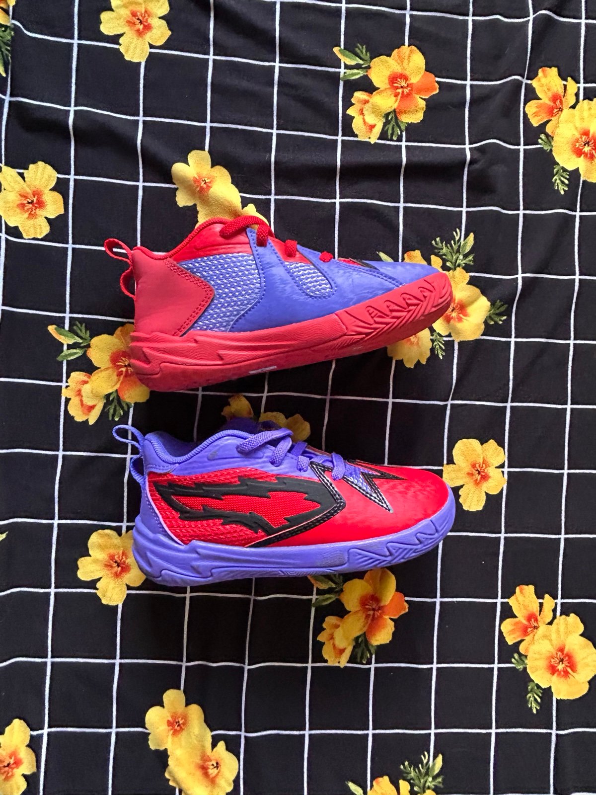 Puma scoot zeros