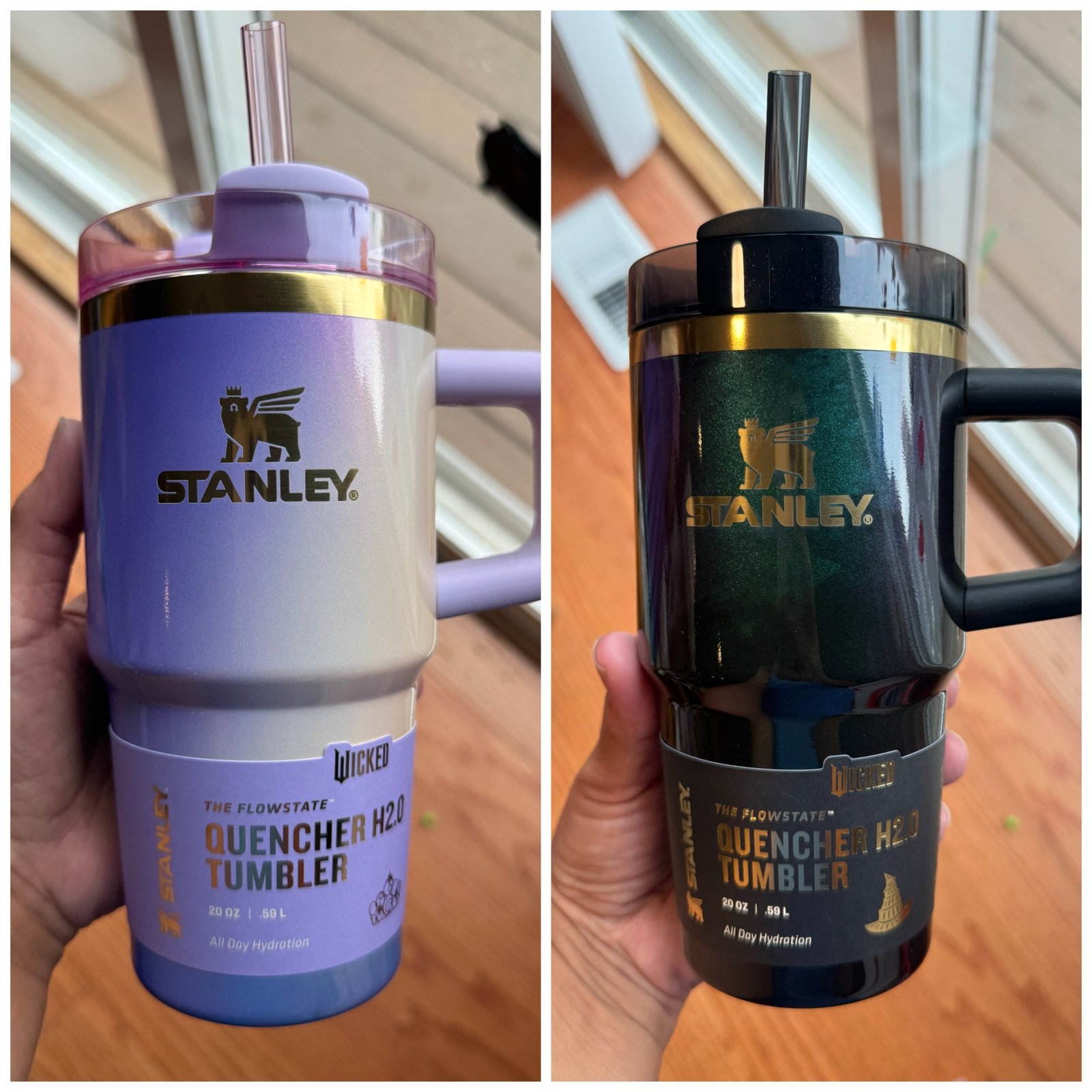 Target Stanley x Wicked for Good 20oz Bundle!