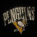 NWOT Women’s Fanatics Pittsburgh Penguins hoodie size XL