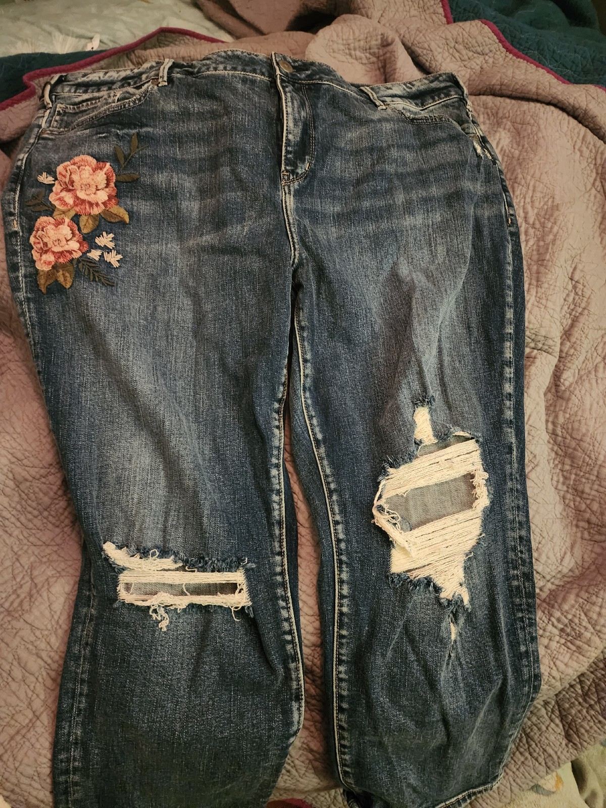 Silver embroidered Capi pants. NWOT.