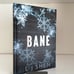Beyond the Pages Bane & Blood to Dust by L.J. Shen *SIGNED*