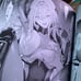 Scarlet doujin