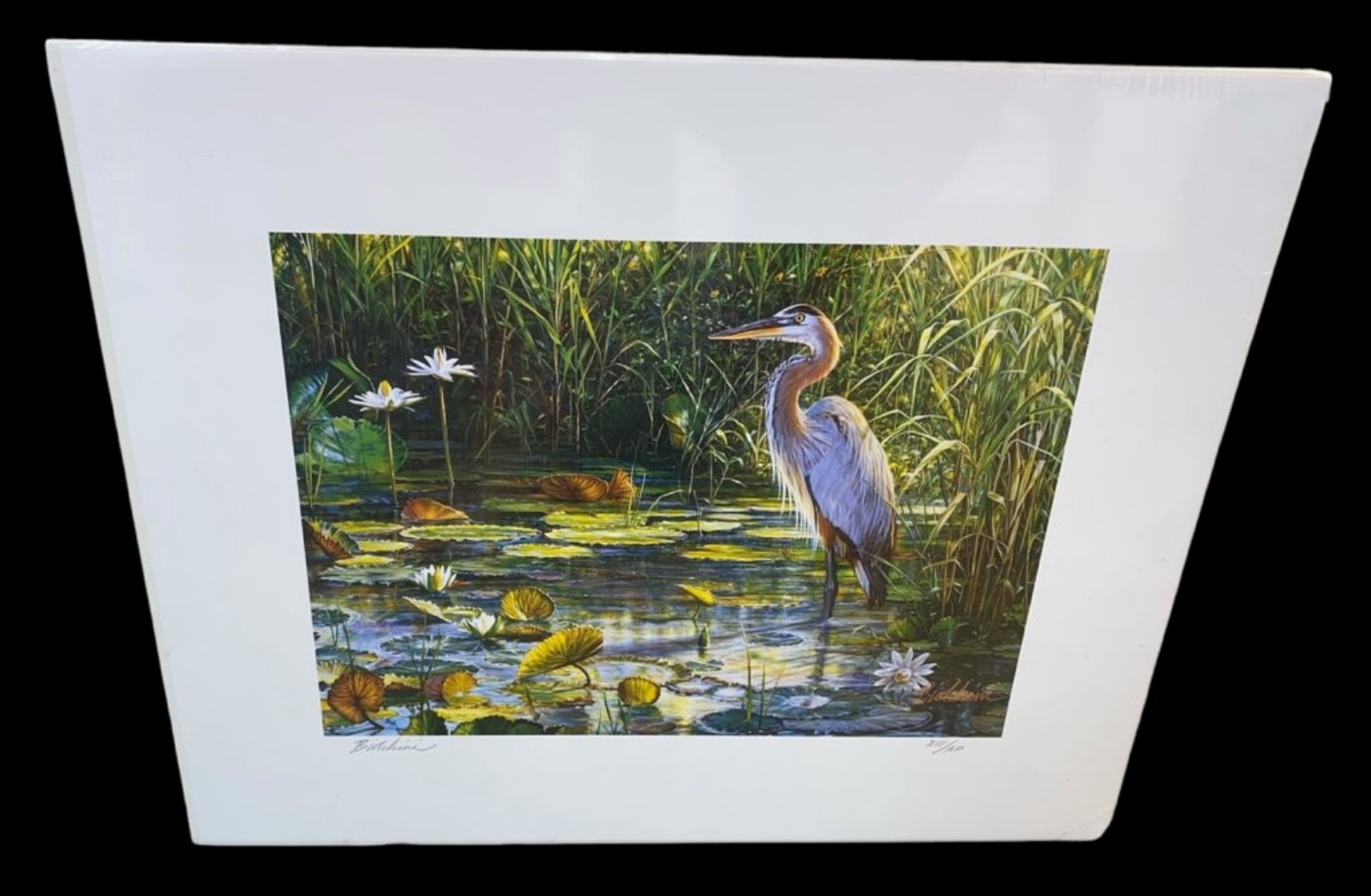 Greg Biolchini Heron Artist Proof XIII Signed Print 21x17